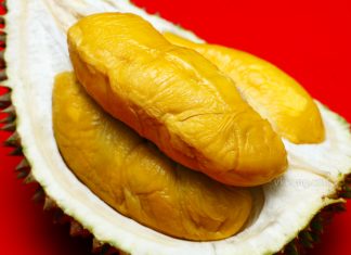 Export Grade Musang King Durian Sinnaco