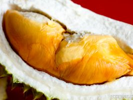 Red Prawn Durian Globalmax Trading Kuantan